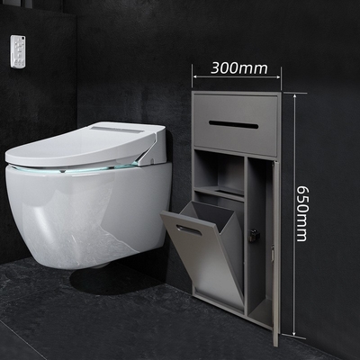 Nicho de banheiro do hotel da Austrália Estilo de design moderno para escova de banheiro e armazenamento de chuveiro