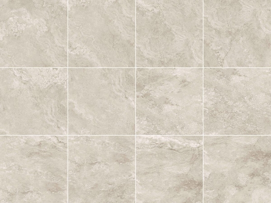 Boa 600 * 600mm Regular Single Color porcelana telha de piso com função antibacteriana